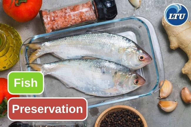 5 Common Ways To Preserving Fish